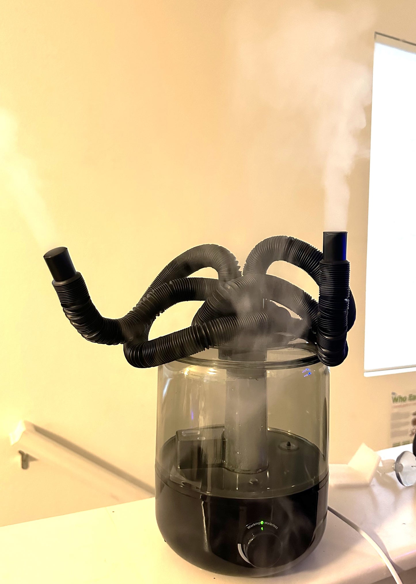 Fogging System 3 Liter Capacity with Single or Two output options