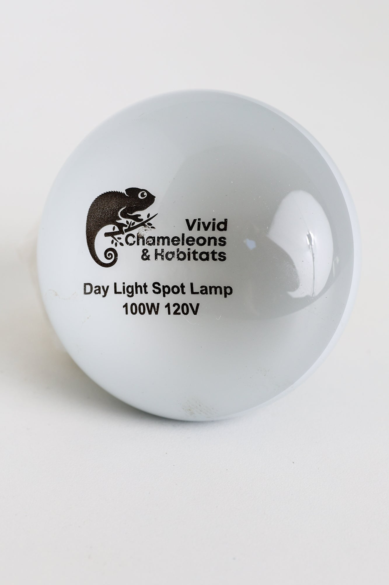 Daylight Heating Bulb - 100W
