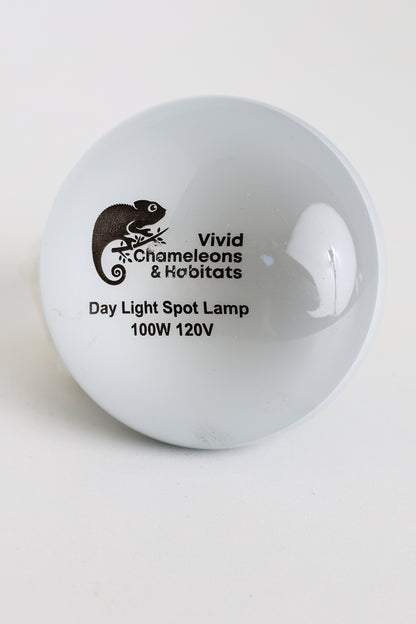 Daylight Heating Bulb - 100W