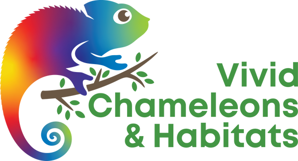Vivid Chameleons & Habitats Inc.